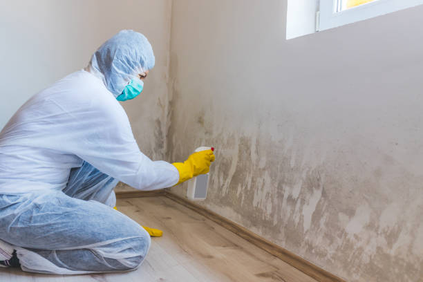 Licensed Bathroom Mold Removal service in Petersburg, VA - WQB Mold Removal