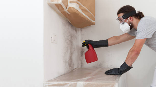 Professional Bathroom Mold Removal technician working in Petersburg, VA