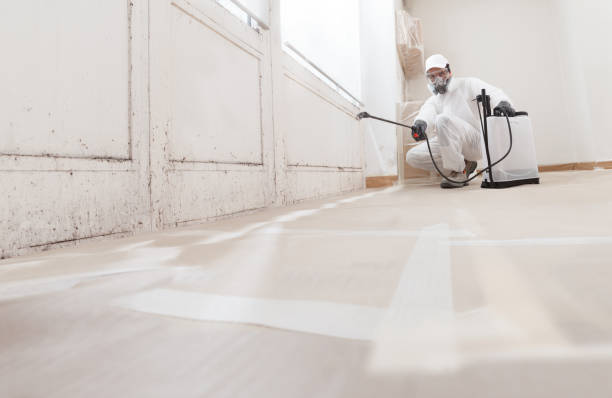 24/7 Emergency Bathroom Mold Removal experts in Petersburg, VA