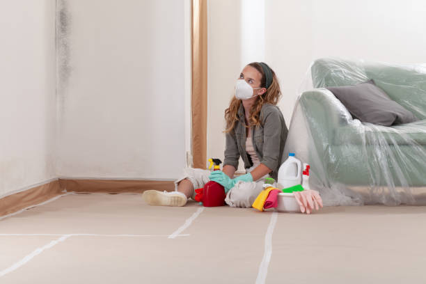 Reliable Bathroom Mold Removal contractor in Petersburg, VA by WQB Mold Removal
